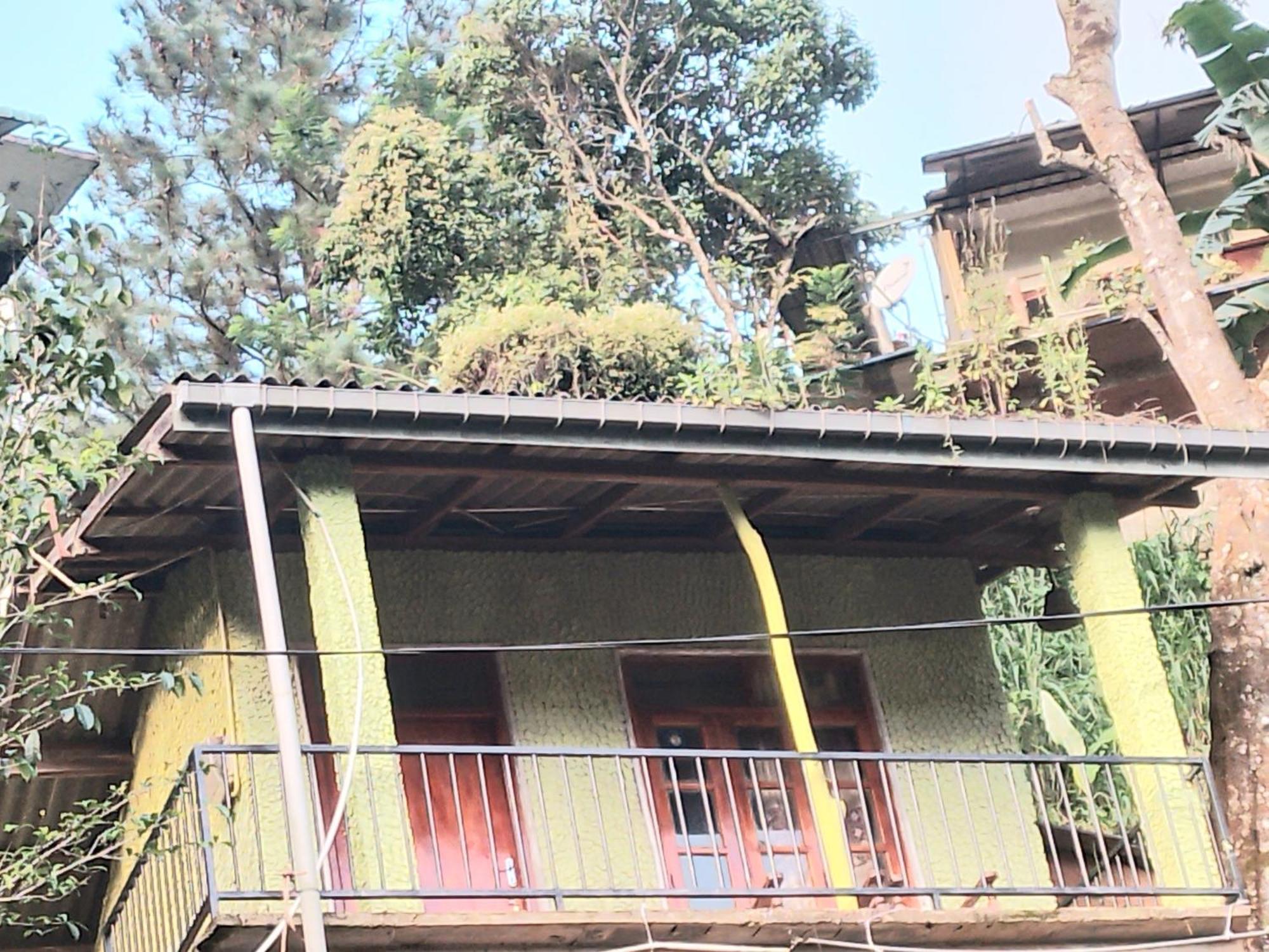 Jungle View Cottage Ella Exterior foto